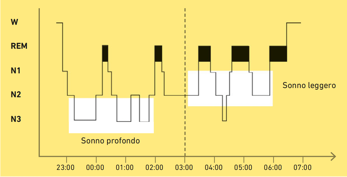 Schermata 2022-01-11 alle 12.24.32.png