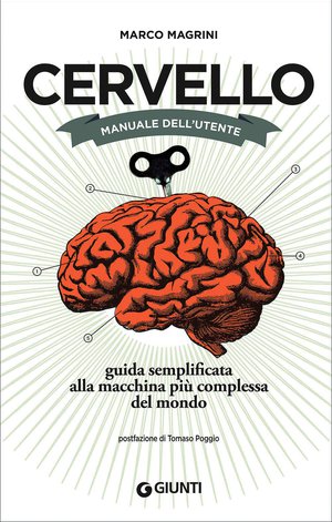 cervello.jpg