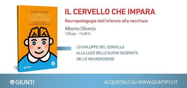 Il-cervello--che-impara.jpg