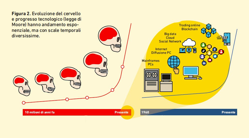 evoluzione-del-cervello.png